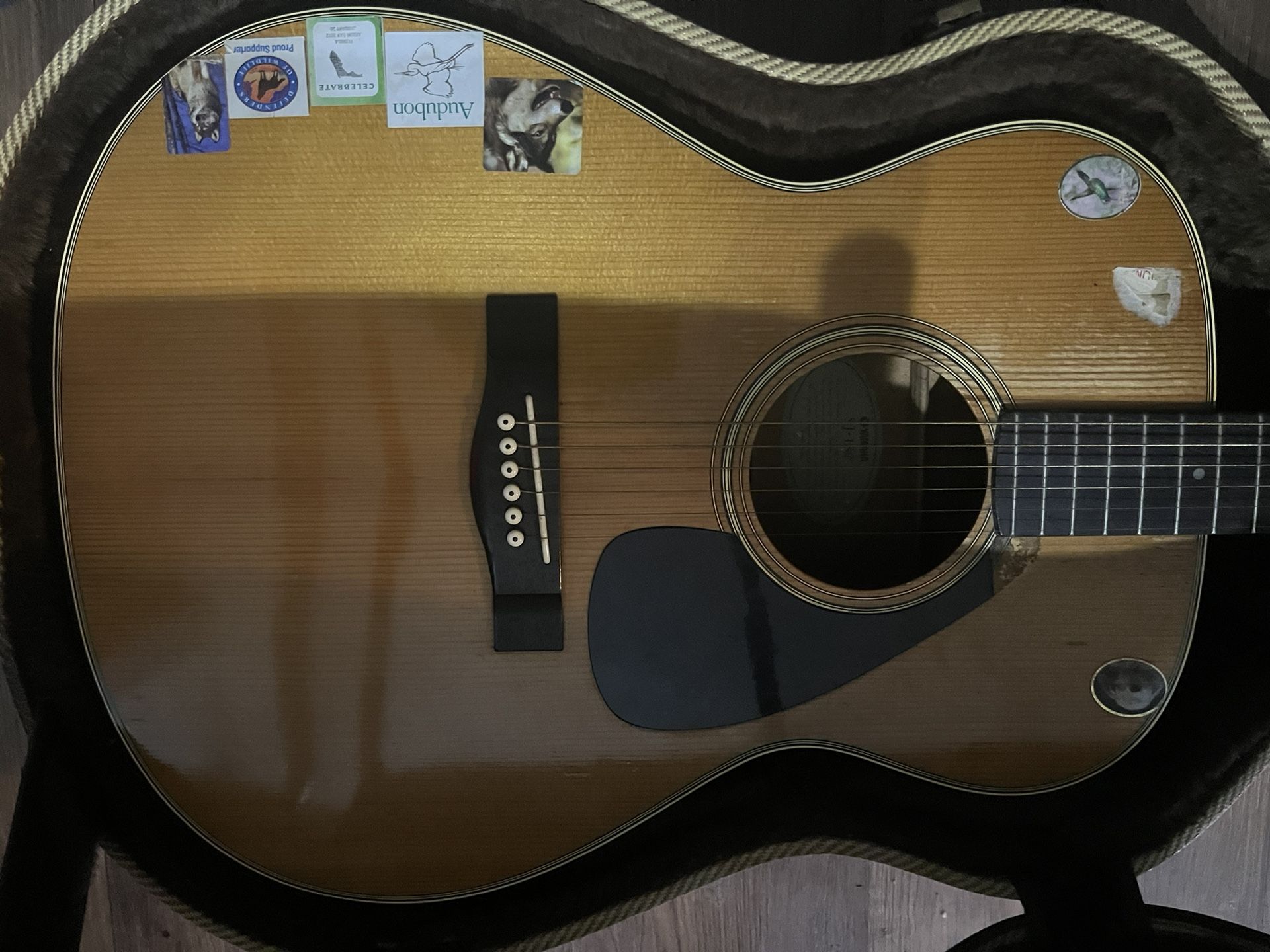acoustic guitar 