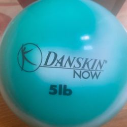5 lb Weighted ball with a workout CD
