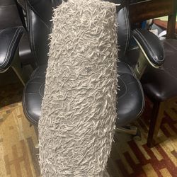 Free Car bet And Spray Tank