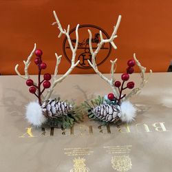 Hair clips 