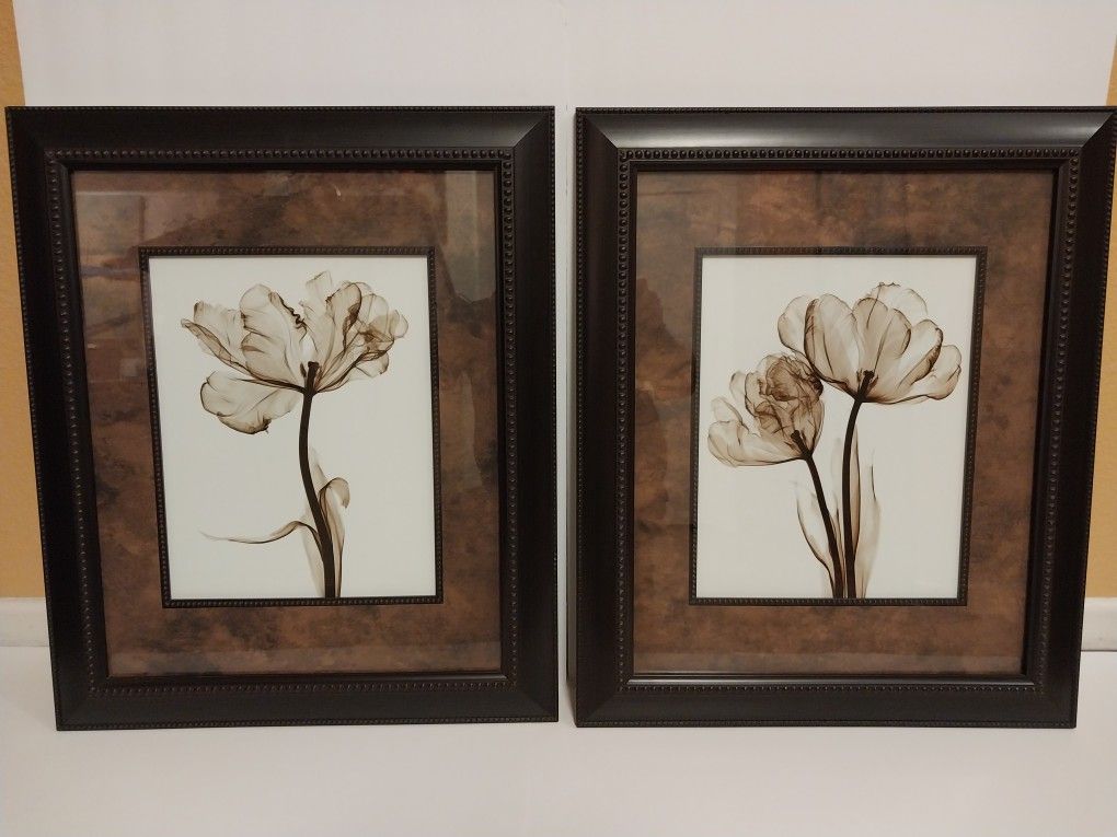 2 Steven N. Meyers Floral Framed Prints