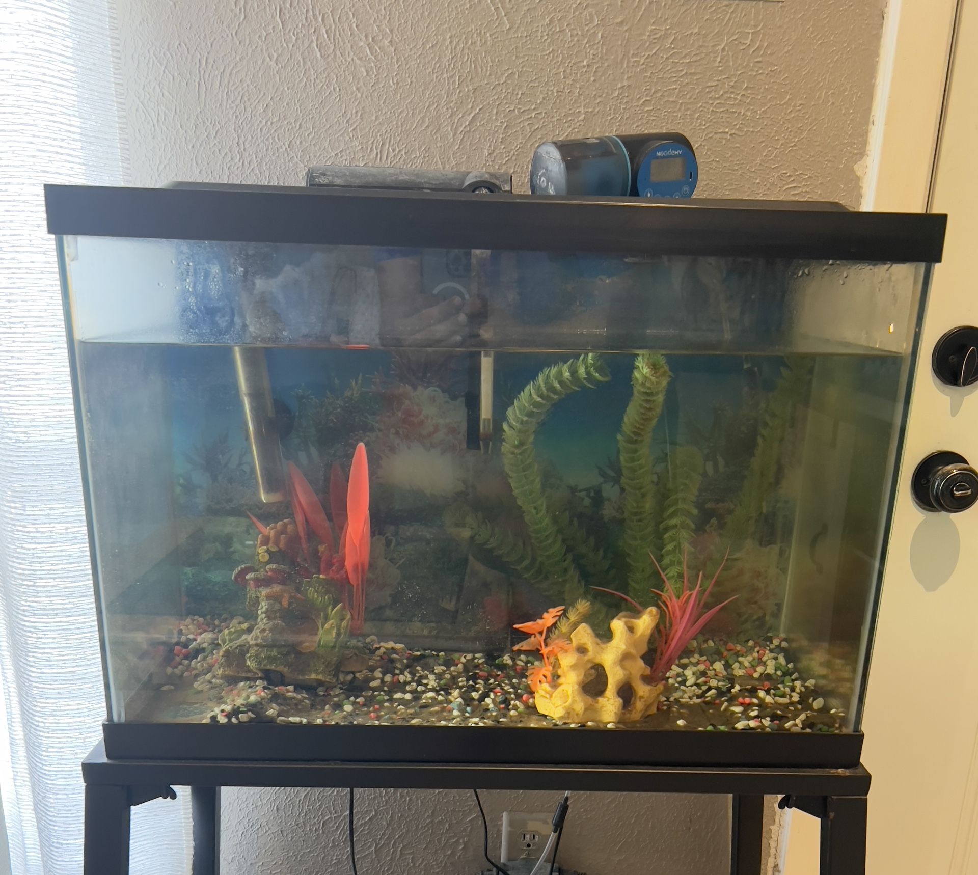 Free Fish Tank