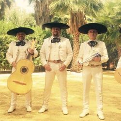Vihuela Mariachi