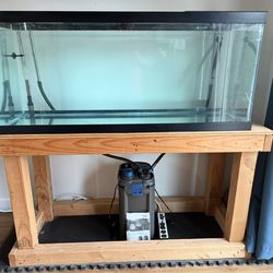 75 Gallon Aquarium, Stand, And Oase Canister Filter