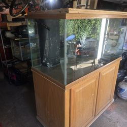 125 Gallon Salt Water Tank
