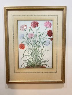Vintage Botanical Florilegium Johann Jakob Walther Framed Art from the Victoria & Albert Museum The Quintessa Art Collection
