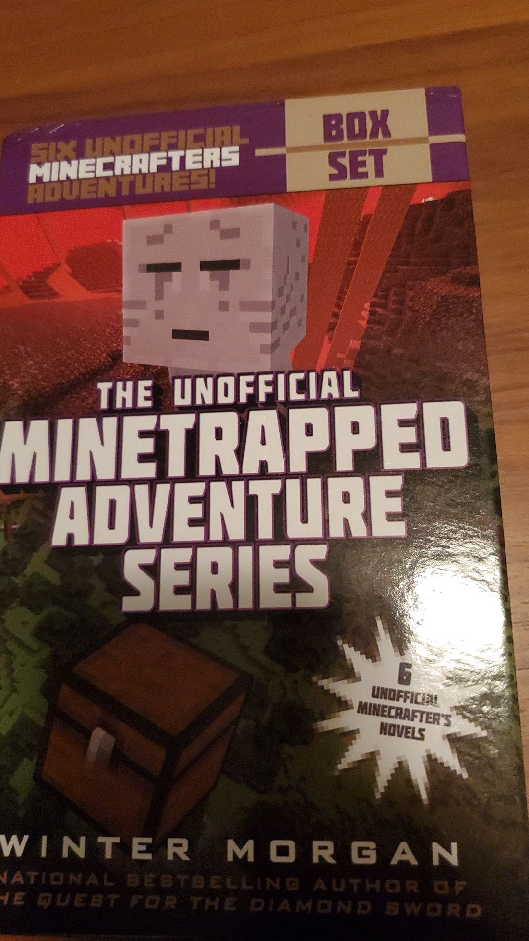 Minecraft book series