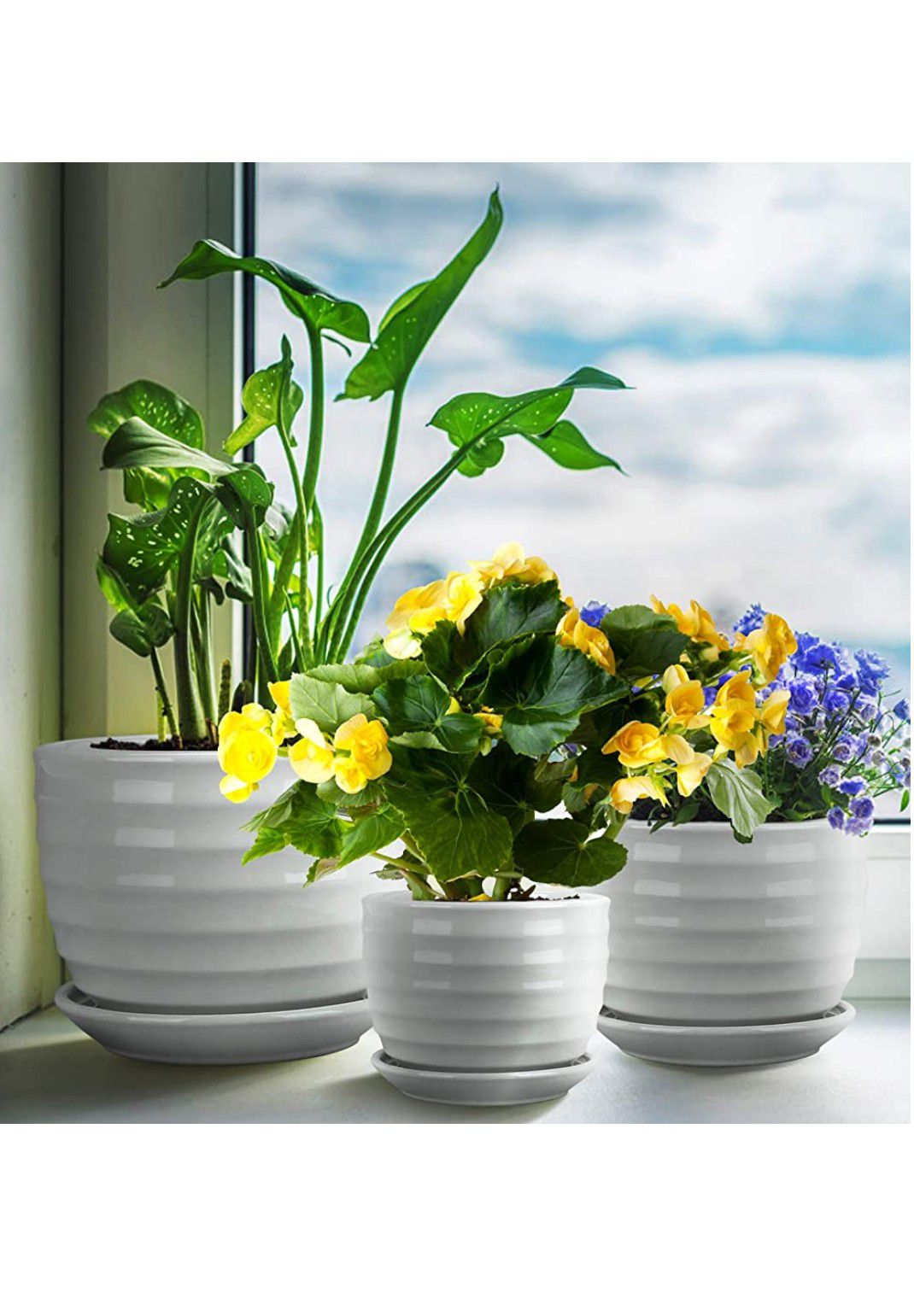 Encheng Round Modern Ceramic Garden Flower Pots Small to Medium Sized,White Planter Pots with Drainage,Succulent Planter Pots with Saucers 3 Pack