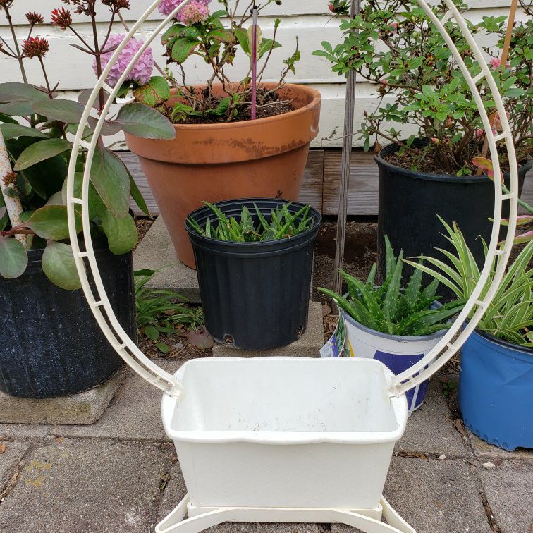 Wedding Basket For Floral Arrangement