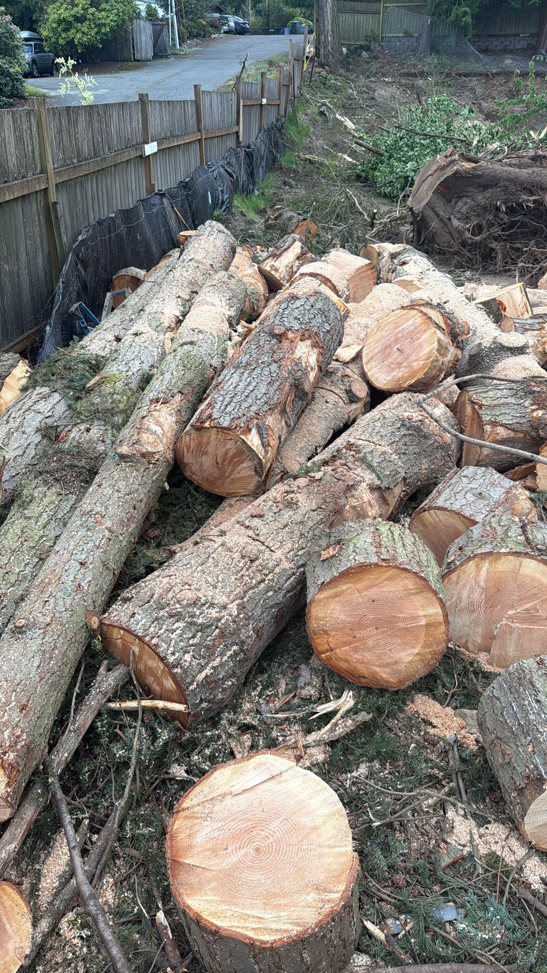 Firewood
