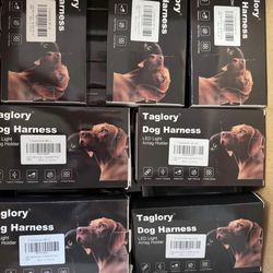 Brand new LED dog harness with built-in AirTag holder — perfect for keeping your dog safe and visible at night.