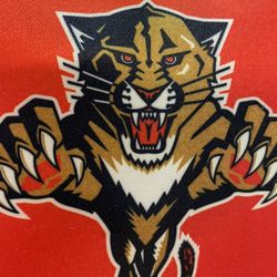 Panthers 20yr /Club Parking Pass  Maroon Lots see Map 