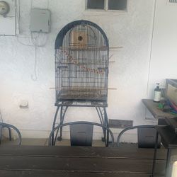 Bird Cage