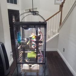 NEW BIRD CAGES