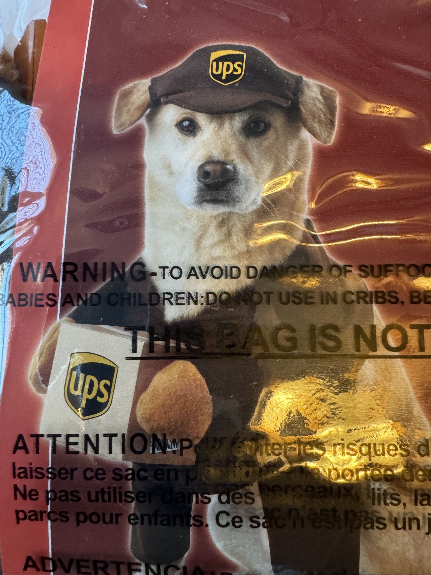 UPS  Dog Costume