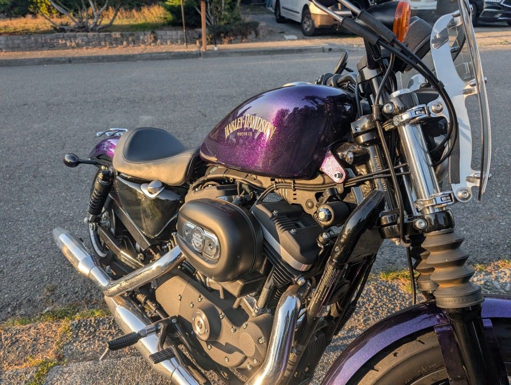 2014 Sportster Iron 883