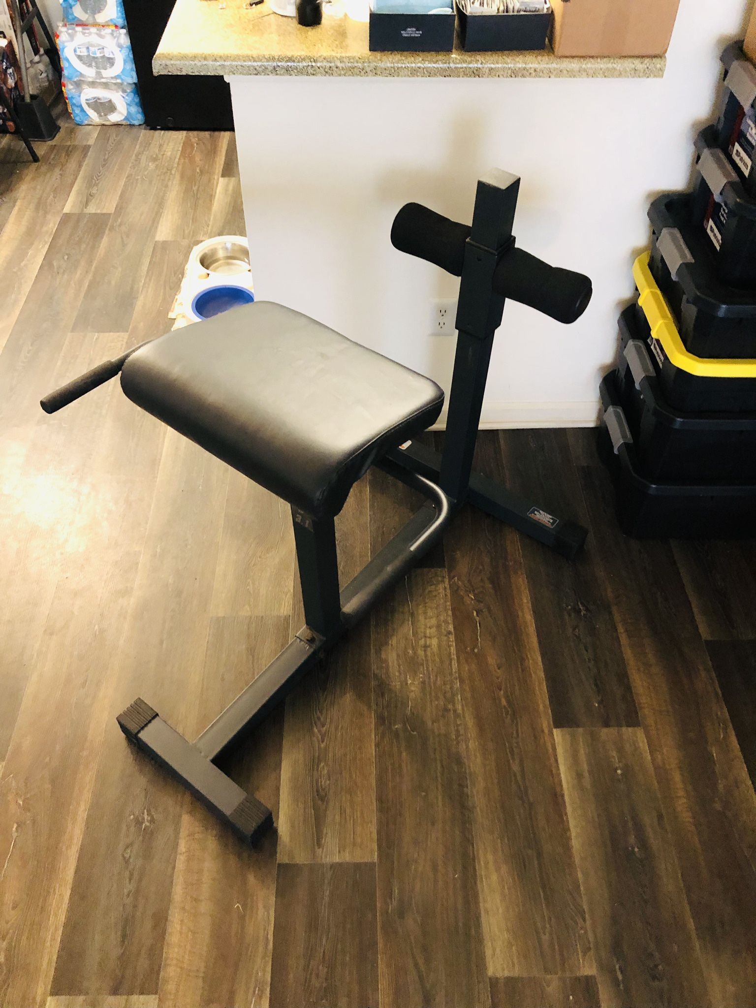 Roman Chair Exercise 