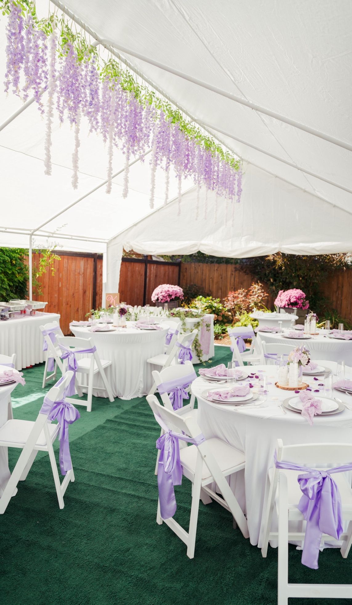 Wisteria Flowers