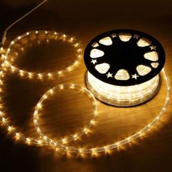 100ft LED Rope Light 