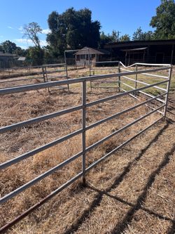 10–12 Heavy-Duty 5’ x 12’ 6-Rail Horse Corral Panels + Gates
