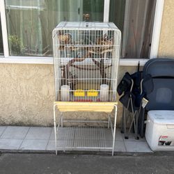 Bird 🦜 Cage 