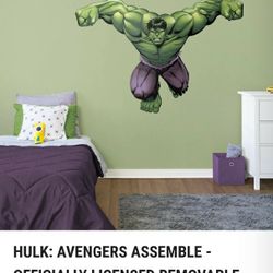 HULK FAT HEAD