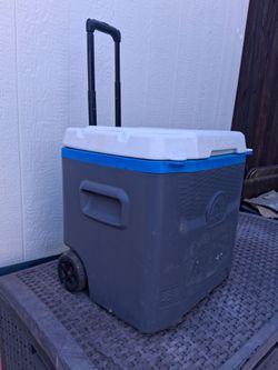Large cooler
