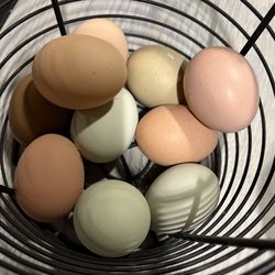 FARM FRESH EGGS