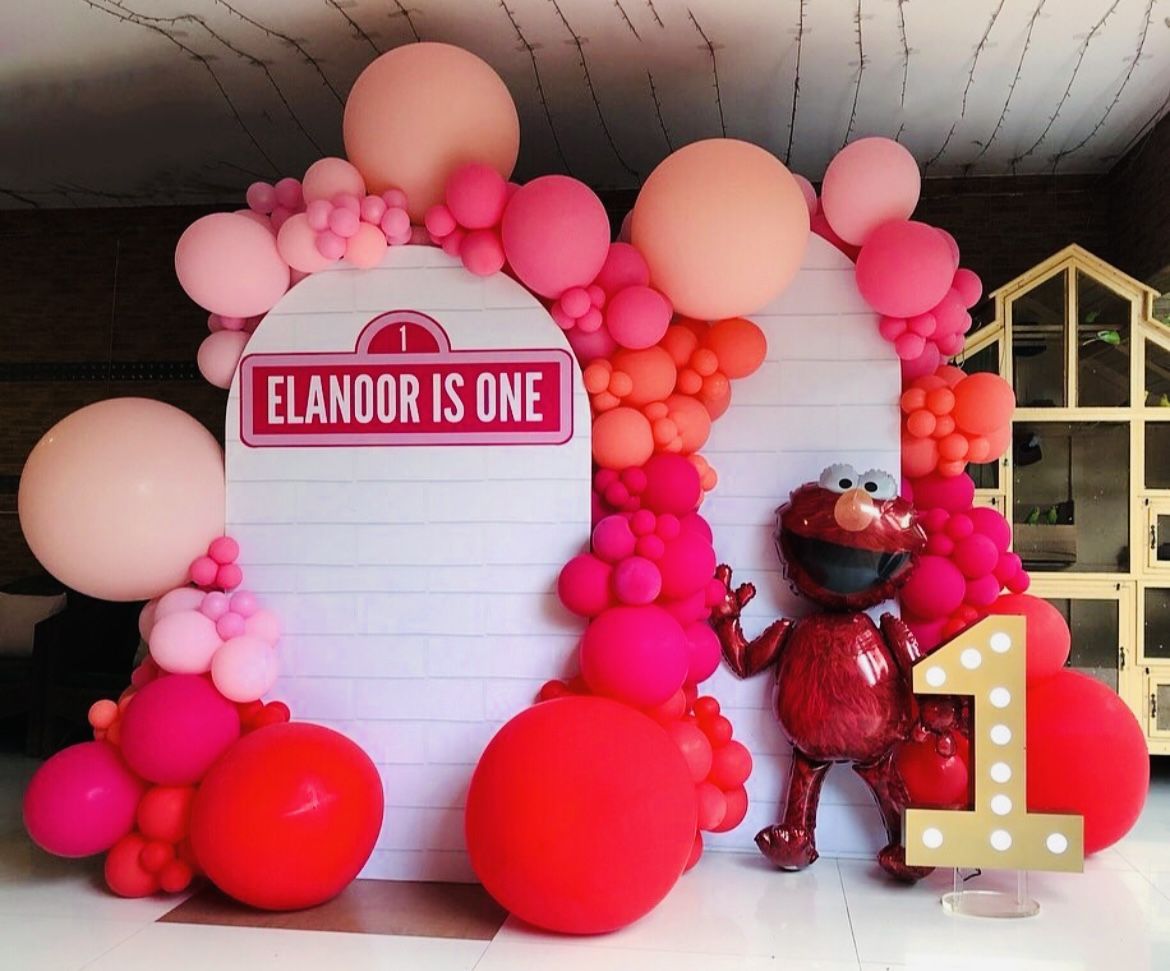 Elmo Birthday Party Decoration