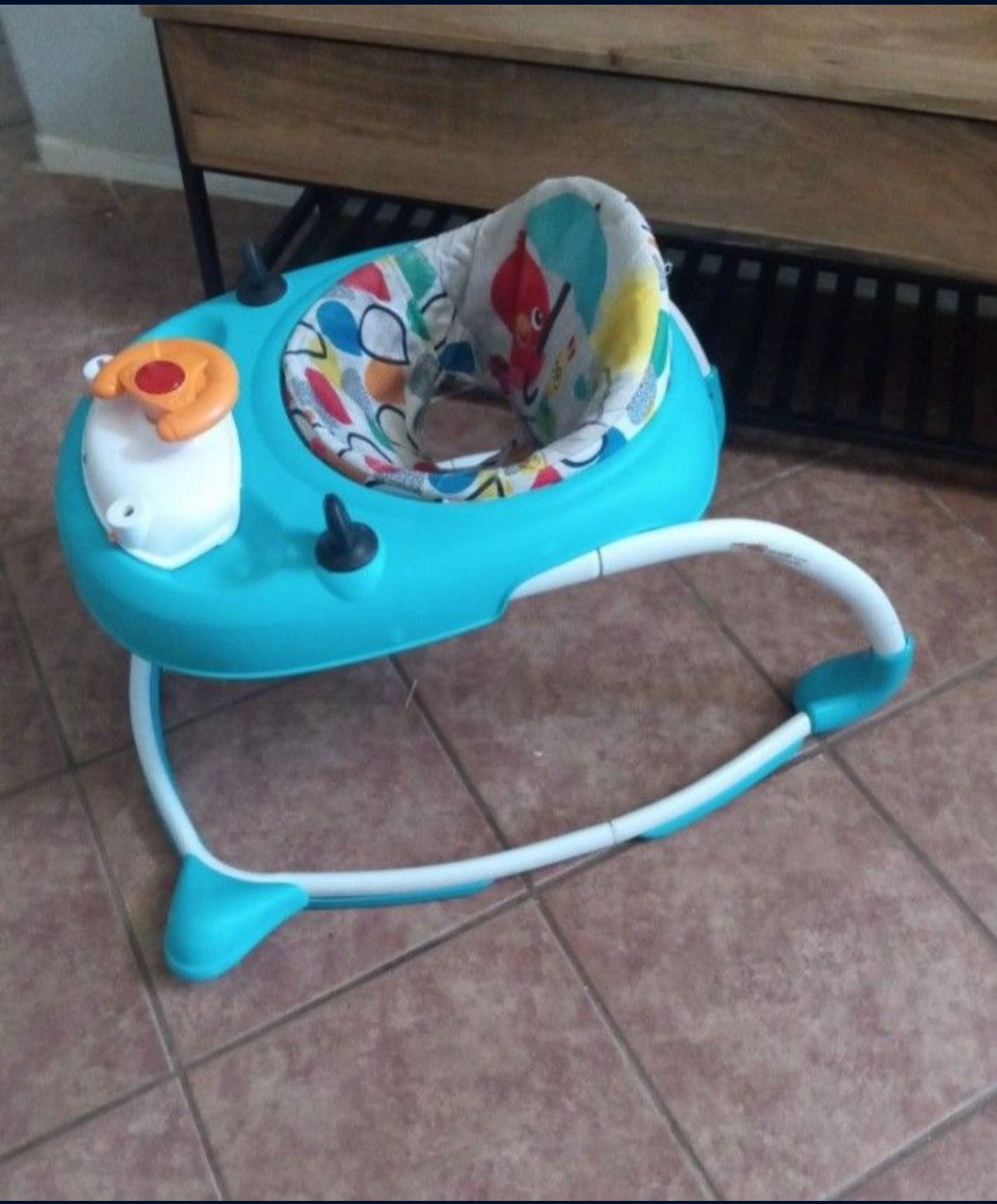 Baby Walker