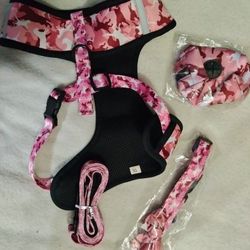 (XL) Dog Harness and Leash Set

