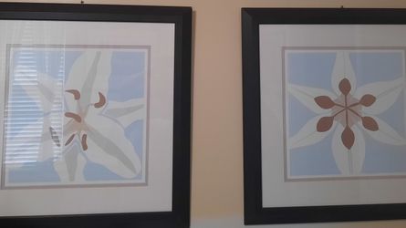 2 Framed Flower Pictures