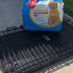 Dog Crate Diapers & Pads