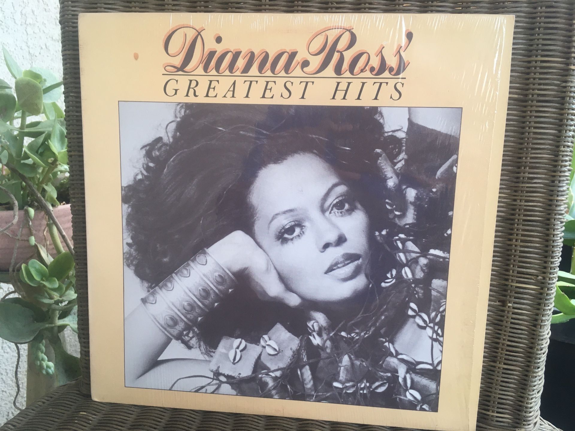 Diana Ross Vinyl Record