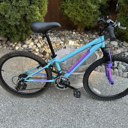🚲 Nishiki Pueblo 24 Youth Bike – $50 (Helmet Included)