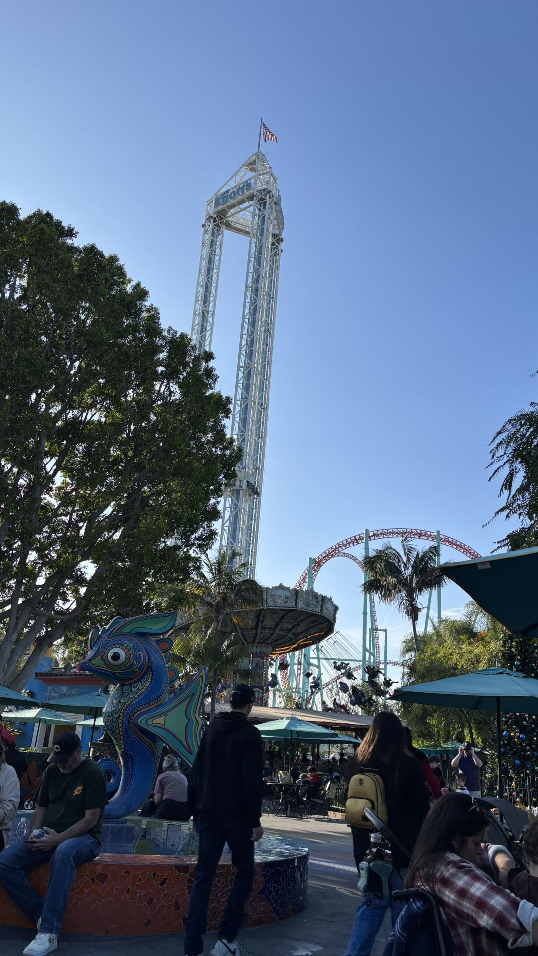Knotts*knotts*knotts