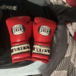 Cleto Reyes 14oz Boxing gloves