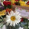 Cottage Garden Flower Farm