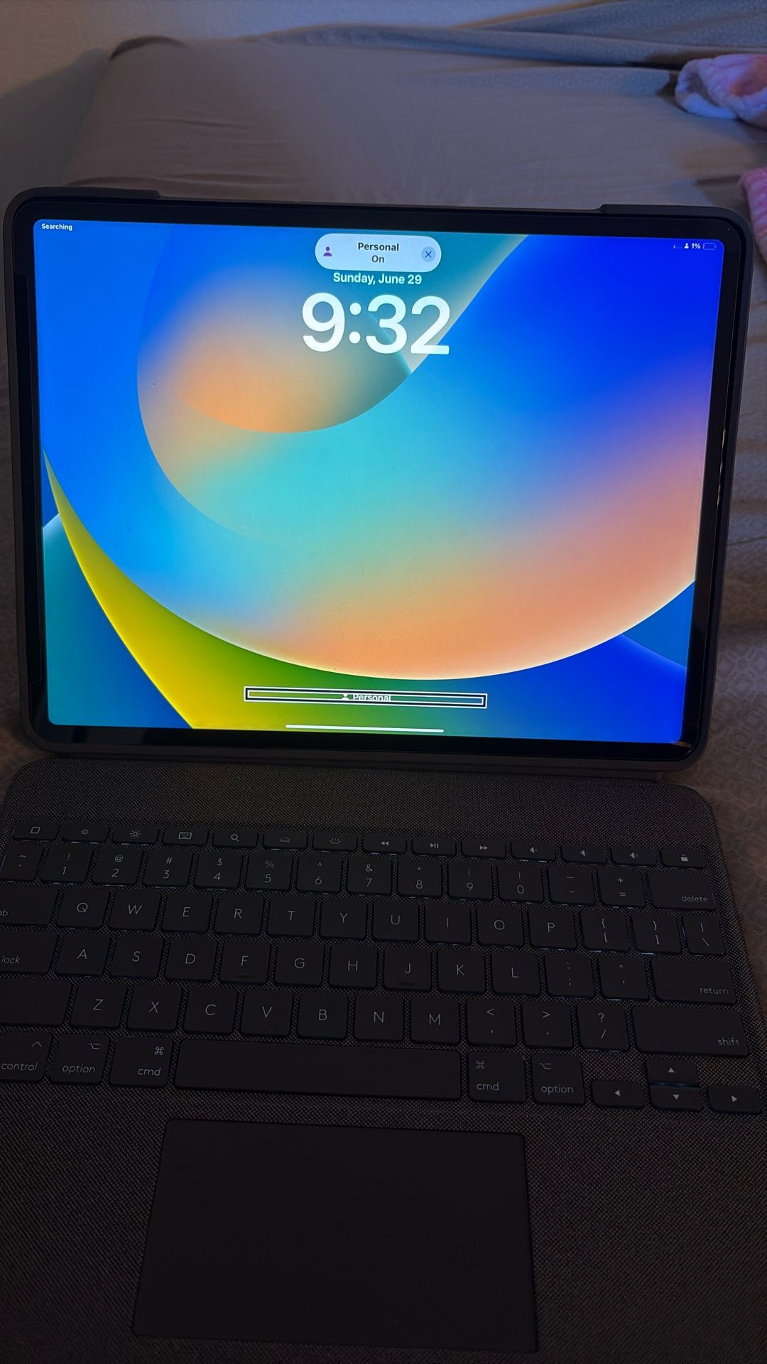 iPad Pro