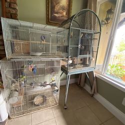 Bird Cages For Sale 