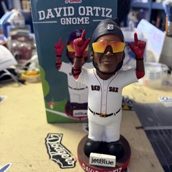 David  Ortiz  Gnome
