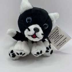 Jonny Cat Plush Doll