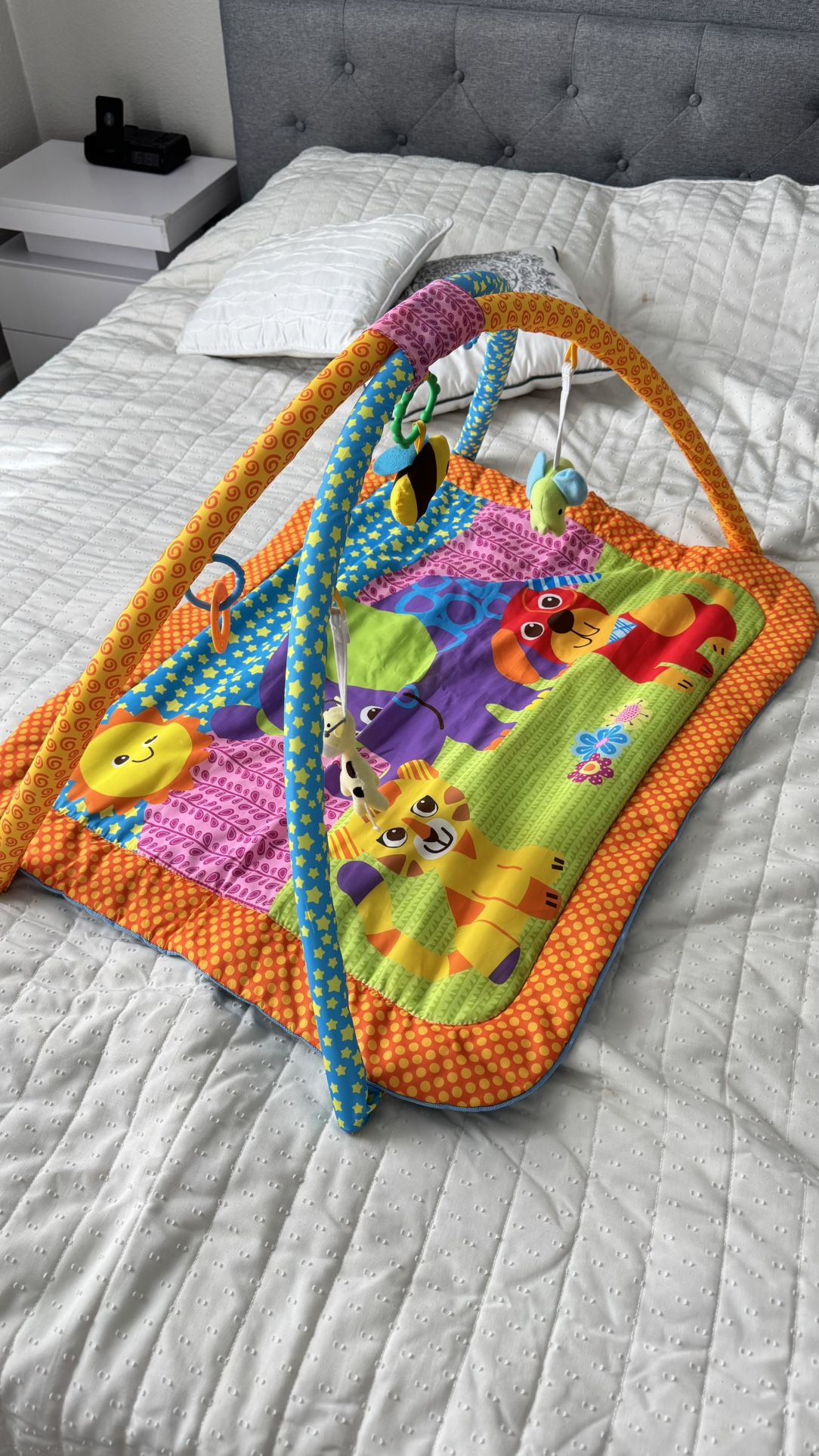 Bruin My 1st Playgym