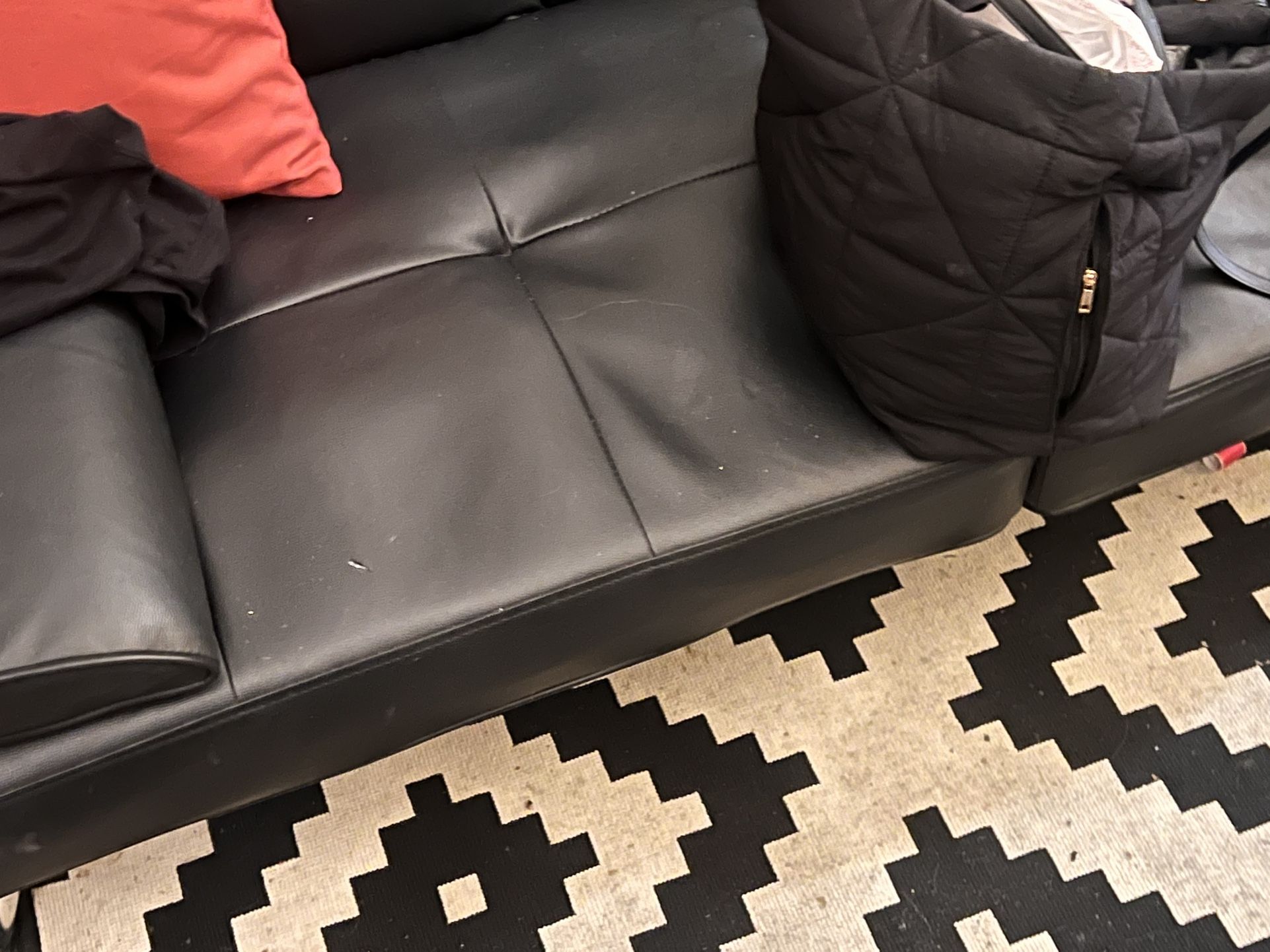 Fold Out Futon/coach