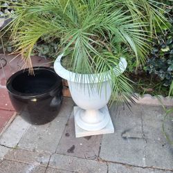 Masetas Buenas Condisiones $50 Por Los Dos 