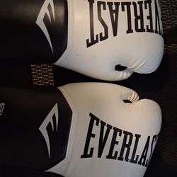 Everlast Elite Boxing Gloves