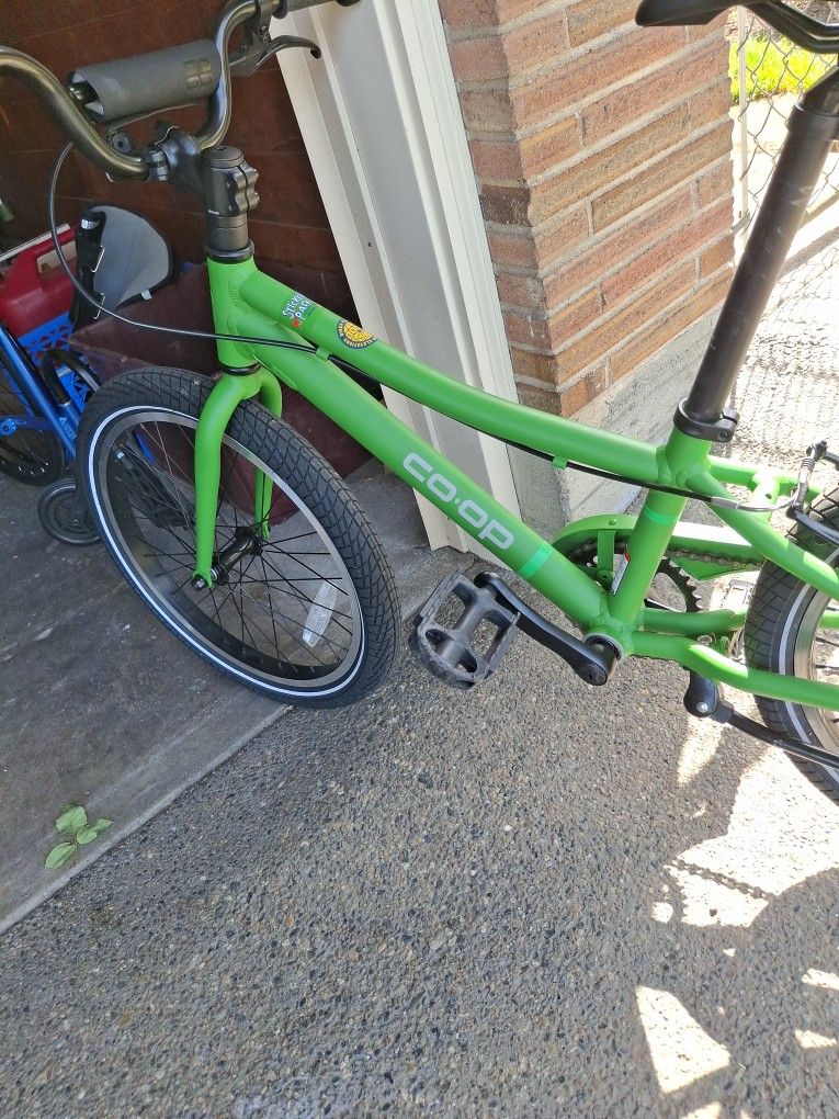 20" BMX REI Green Rev 20 Co-oP
