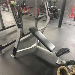 Height Adjustable Incline Bench Press