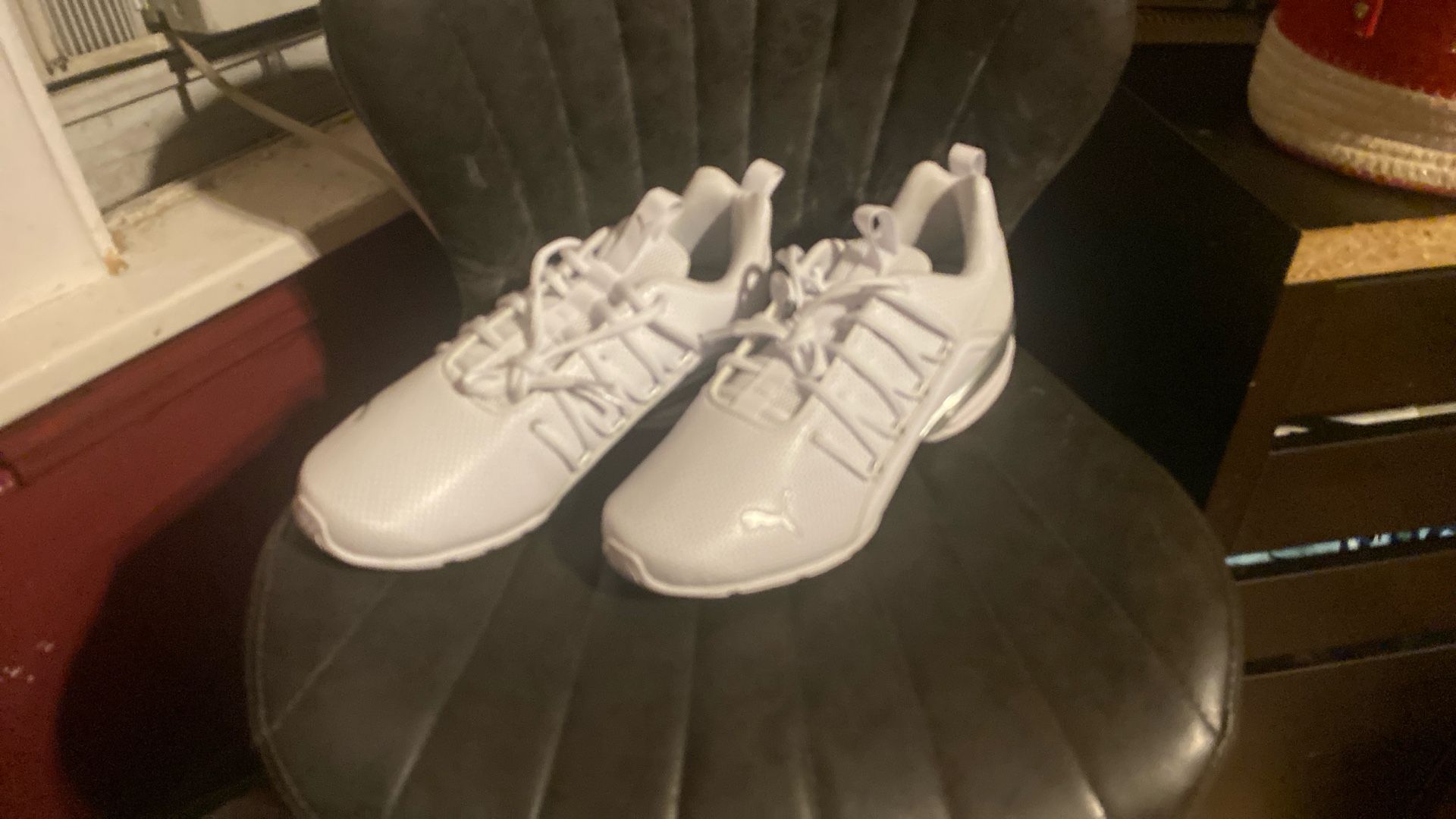 Puma