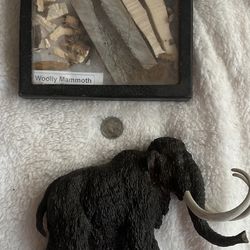 Wooly Mammoth Collection 🦣